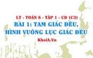 Cách nhận biết tam giác đều, hình vuông, lục giác đều, công thức tính chu vi, diện tích hình vuông? Toán 6 bài 1 c3cd1